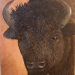 bison-portrait
