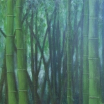 bamboo-forest